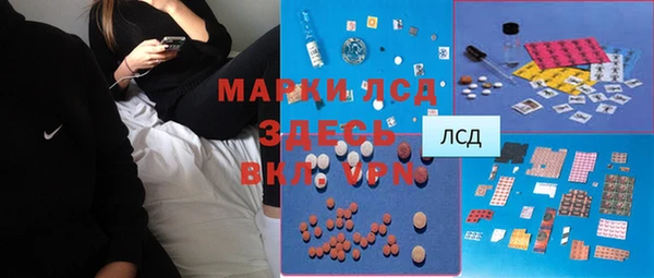 гашик Инсар