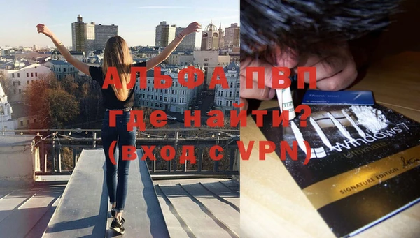 гашик Инсар