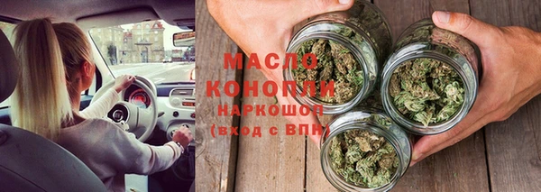 индика Каменск-Шахтинский